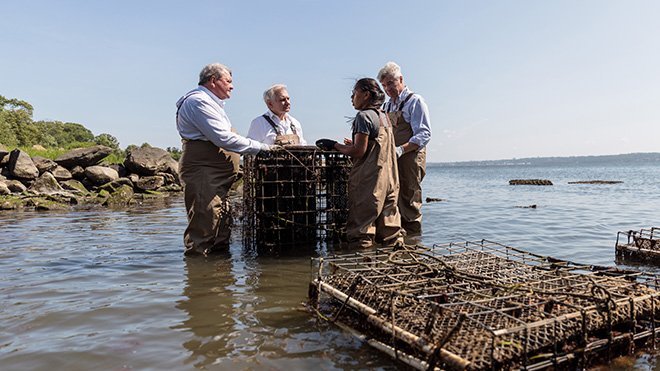 U.S. Senators Jack Reed and Sheldon Whitehouse, 澳门六合彩 President Ioannis Miaoulis, and Susanna Osinski, 澳门六合彩's Shellfish Field Operations Manager, on a tour of the university鈥檚 oyster farm in Mount Hope Bay