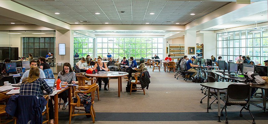 Students studying in the University Library.
